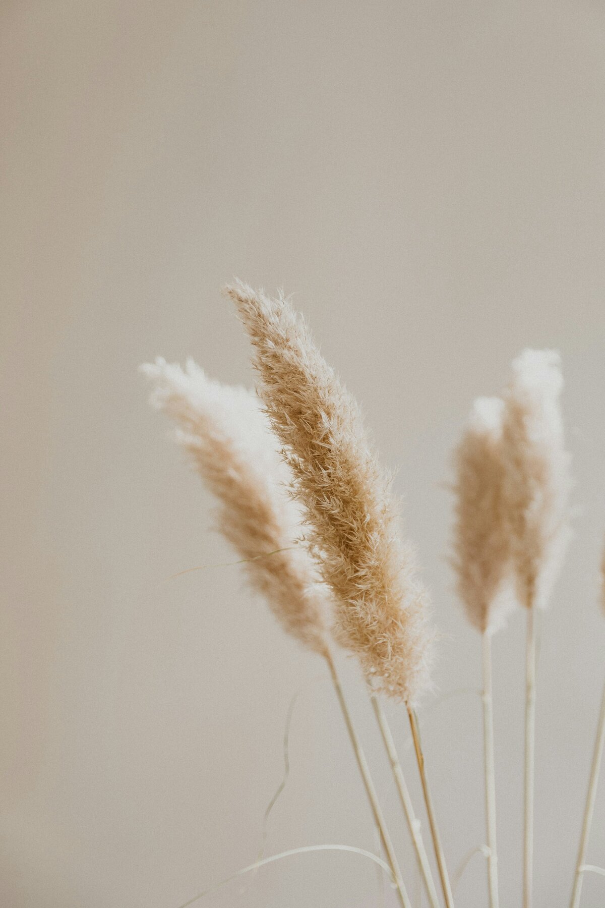 patrick-langwallner-3pR7d-tIRx8-unsplash