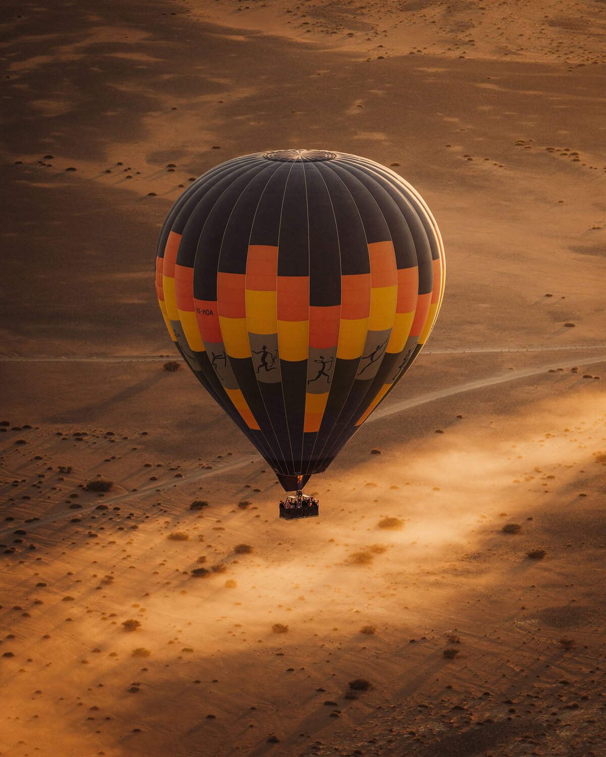 141_hot air balloon_helloemilie