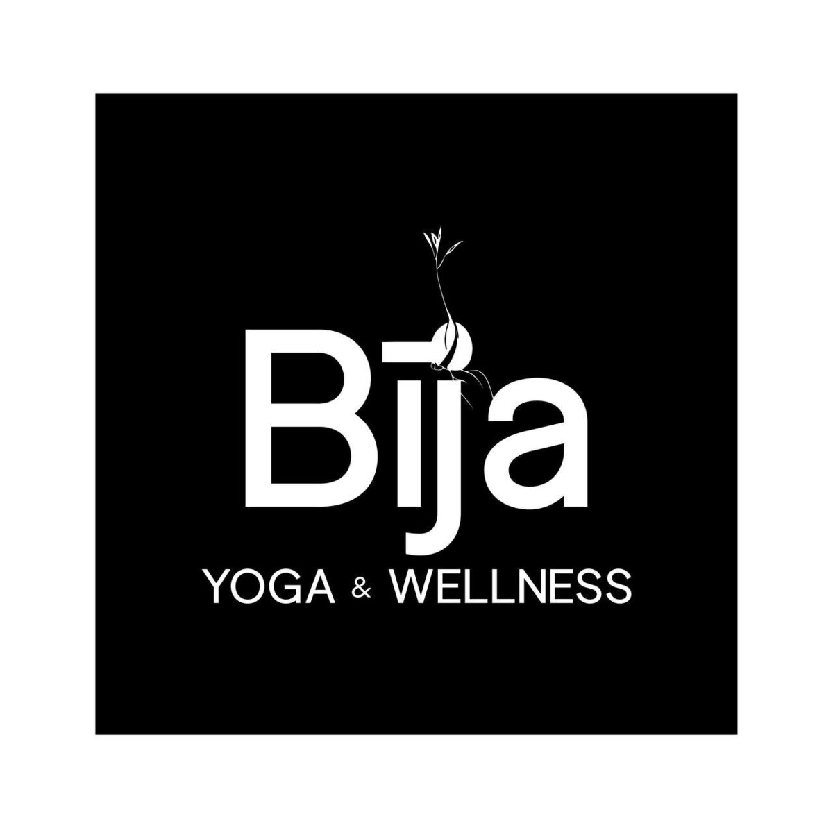 IMAGE 2025-11-18 09:27:10