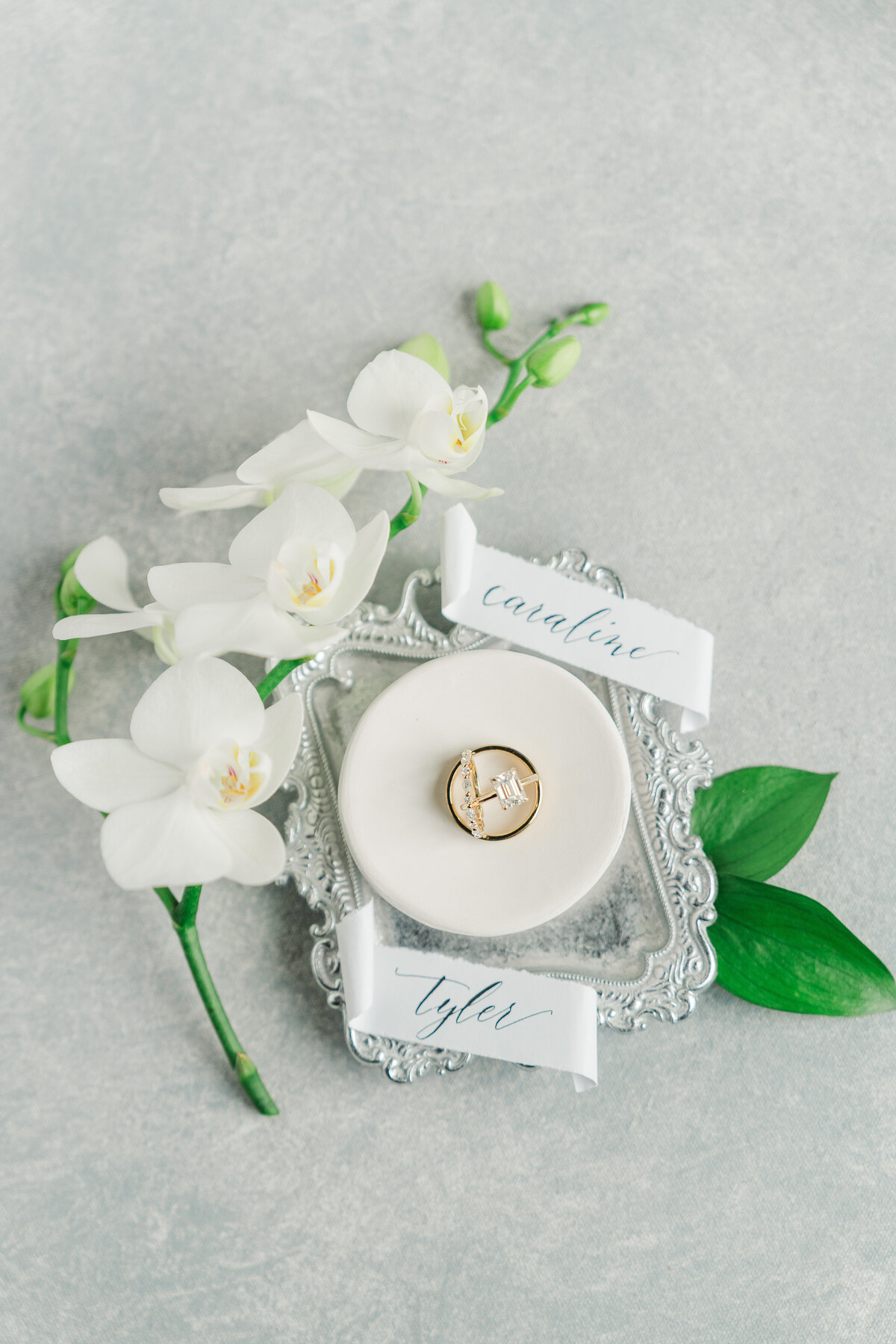 Wellshire Denver Colorado Classic Winter Wedding Elena Spraguer Photography 0001