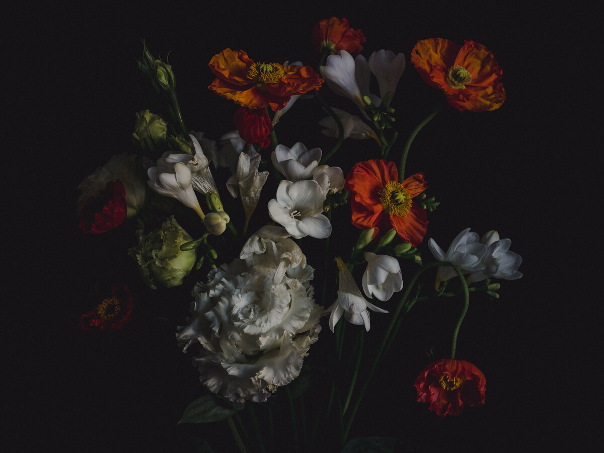 series-6