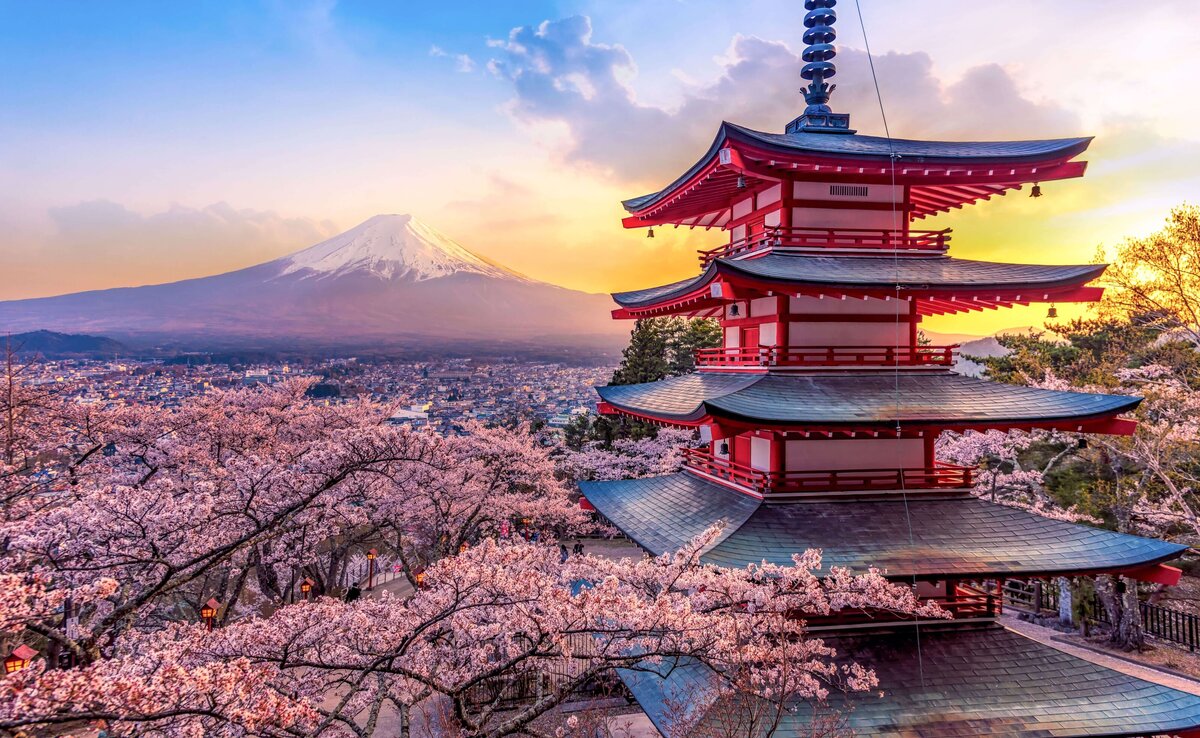 mt. fuji