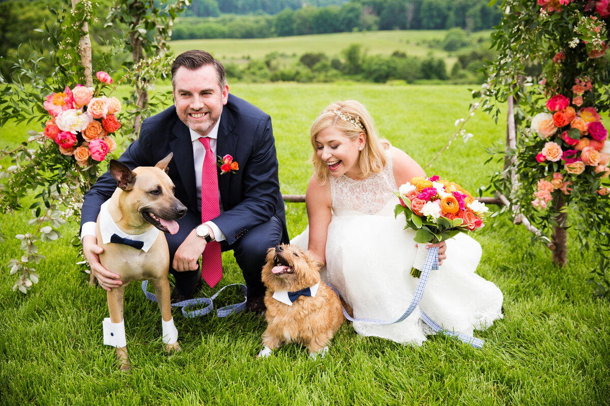 Wedding Virginia AP-3