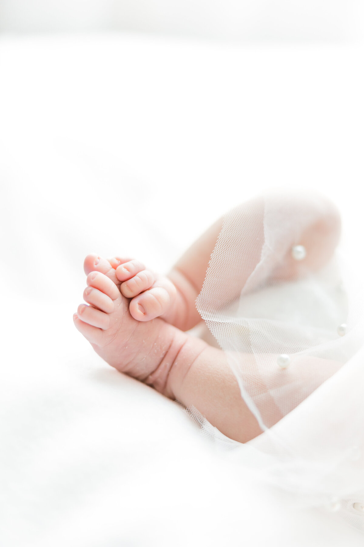Photo of newborn infant collection focusing on little toe details