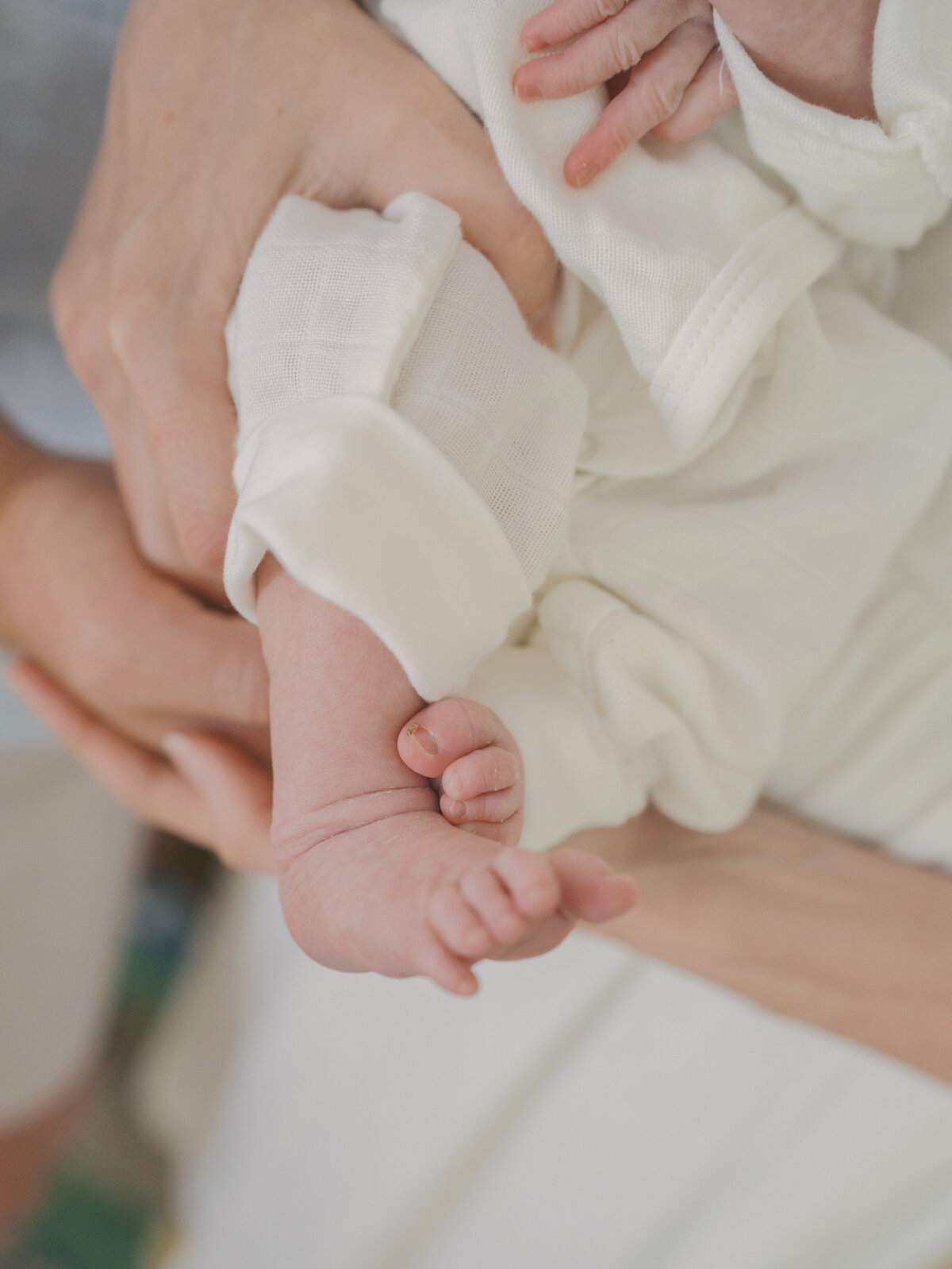 Newborn feet photo by Colorado Springs Newborn Photographer | Lauren Bounds