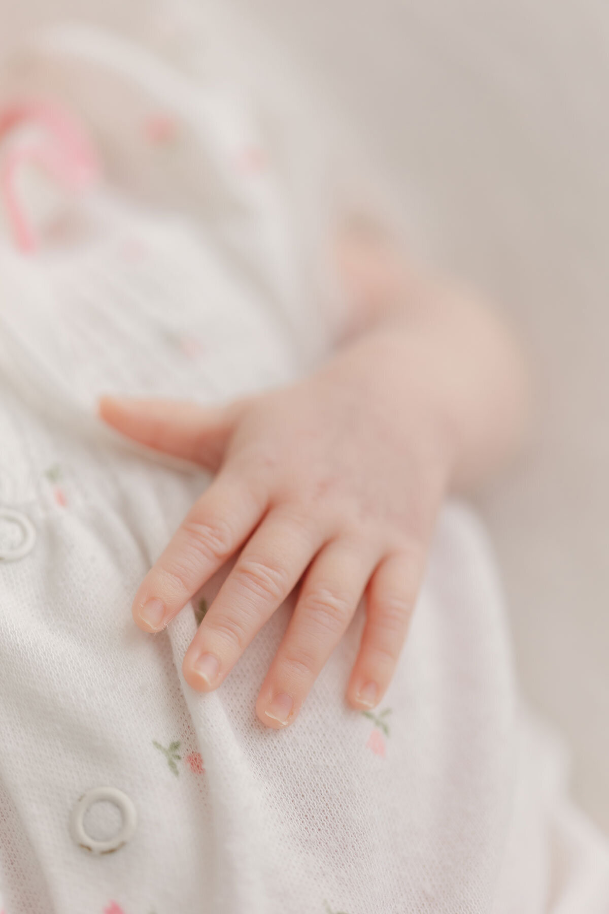 Raleigh-Newborn-Photographer-158