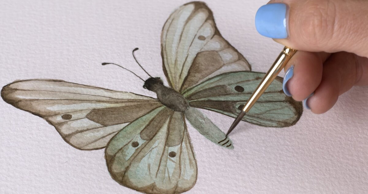 paex-2021-06-butterfly