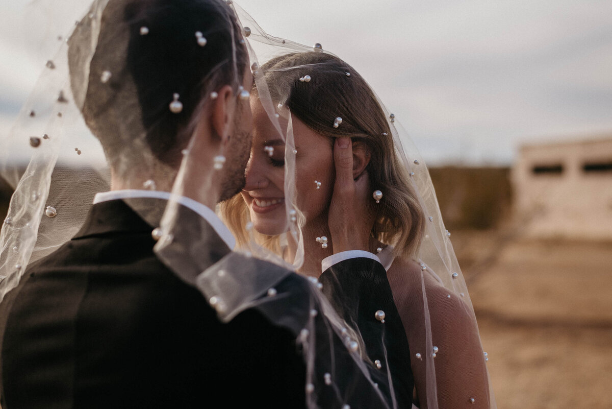 Joshua Tree  wedding photographer