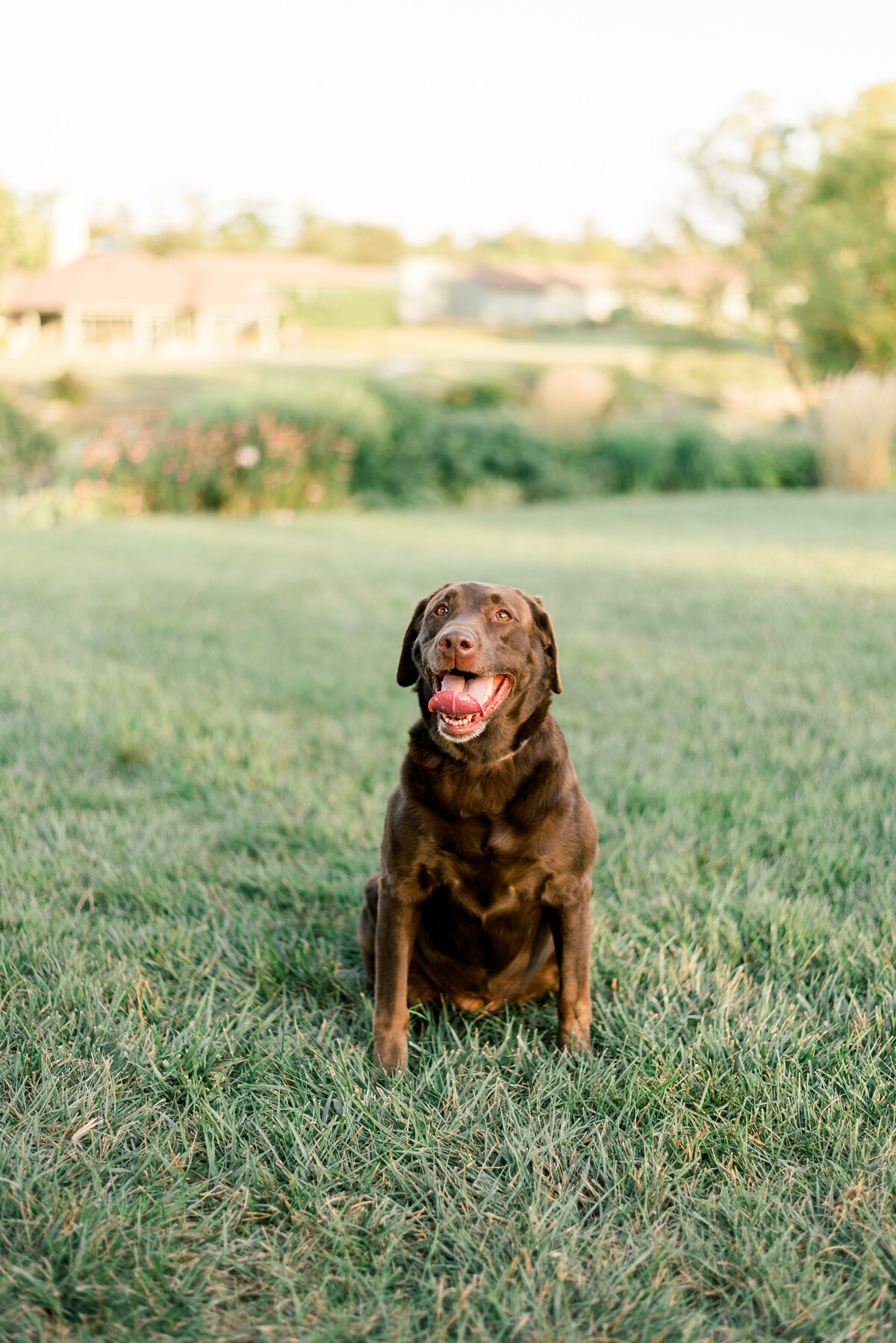 Miller_Cassandra_Janina_Photography_Miamisburg_OH_0024