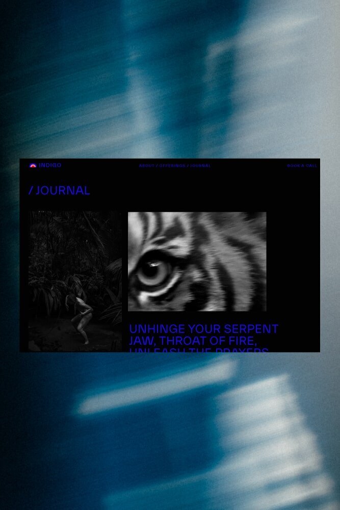 04_website-min