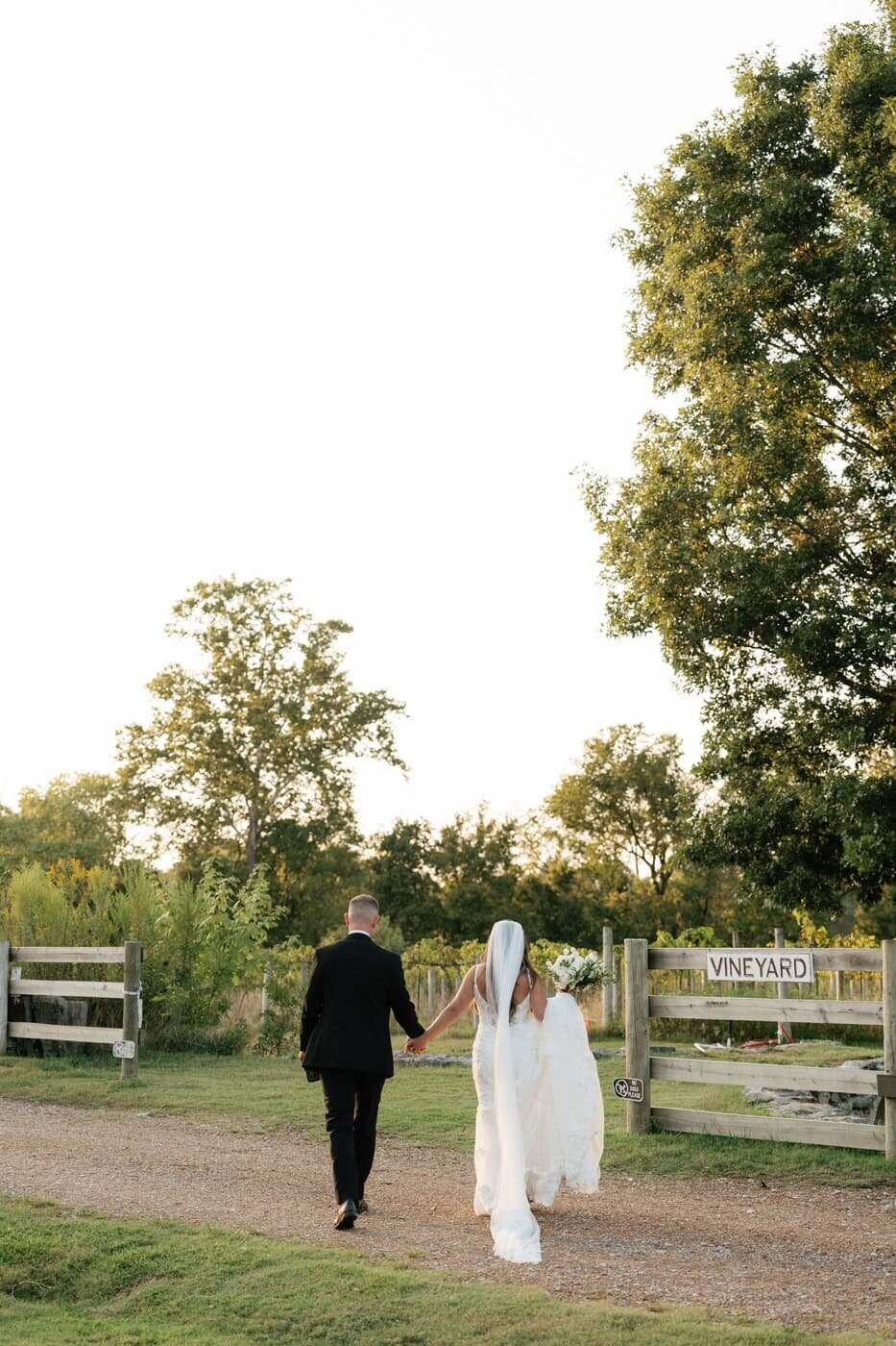 couple holding hands and walking through the vineyard at long hollow gardens