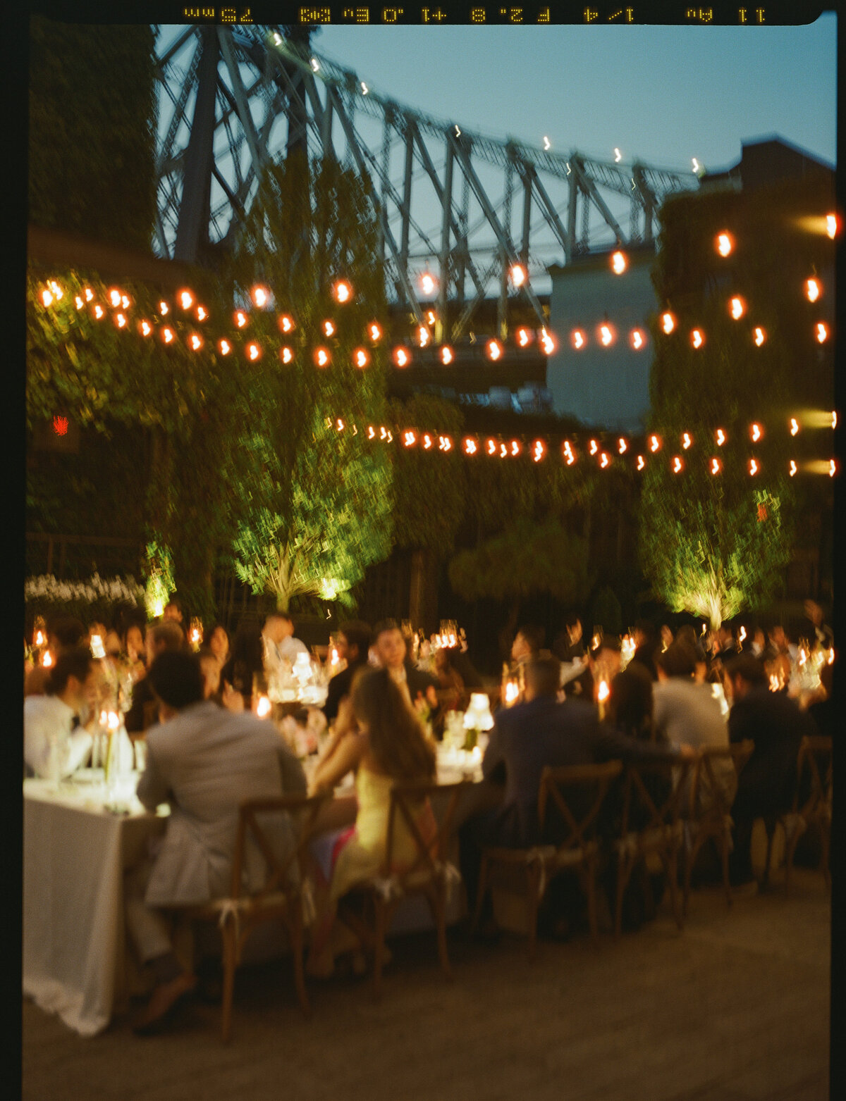 kodak_800_c_41_27681_105690_237393_002367960006