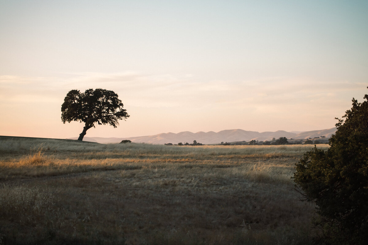 Calipaso-Winery-and-Villa-Wedding-Paso-Robles-Ashley-Rae-Studio-Bier-2024-729