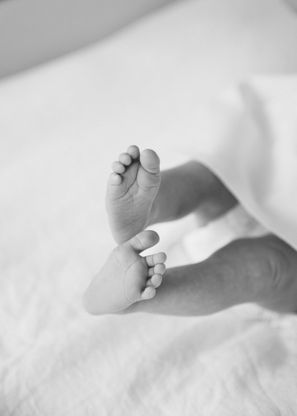 Allie Nichols Photography - Greenville, NC family photographer