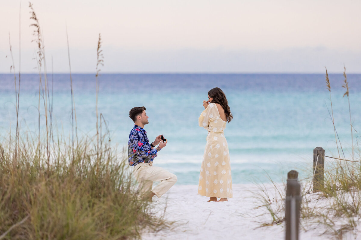man proposes on beach  in grayton while photographer hides on trail and captures it.