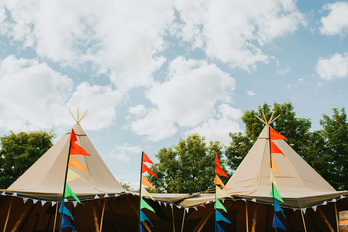 Tipi companies 2025