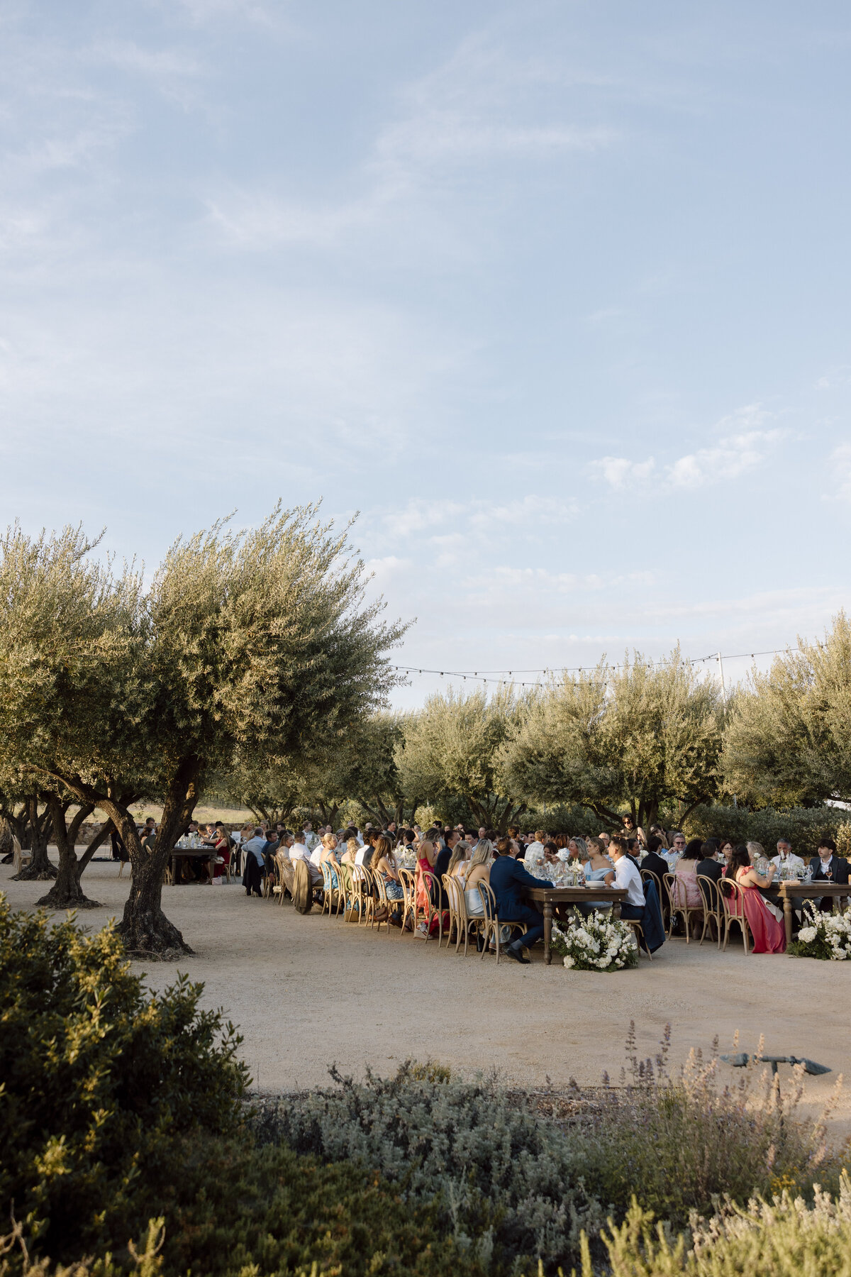 Paso Robles Wedding Photographer-60