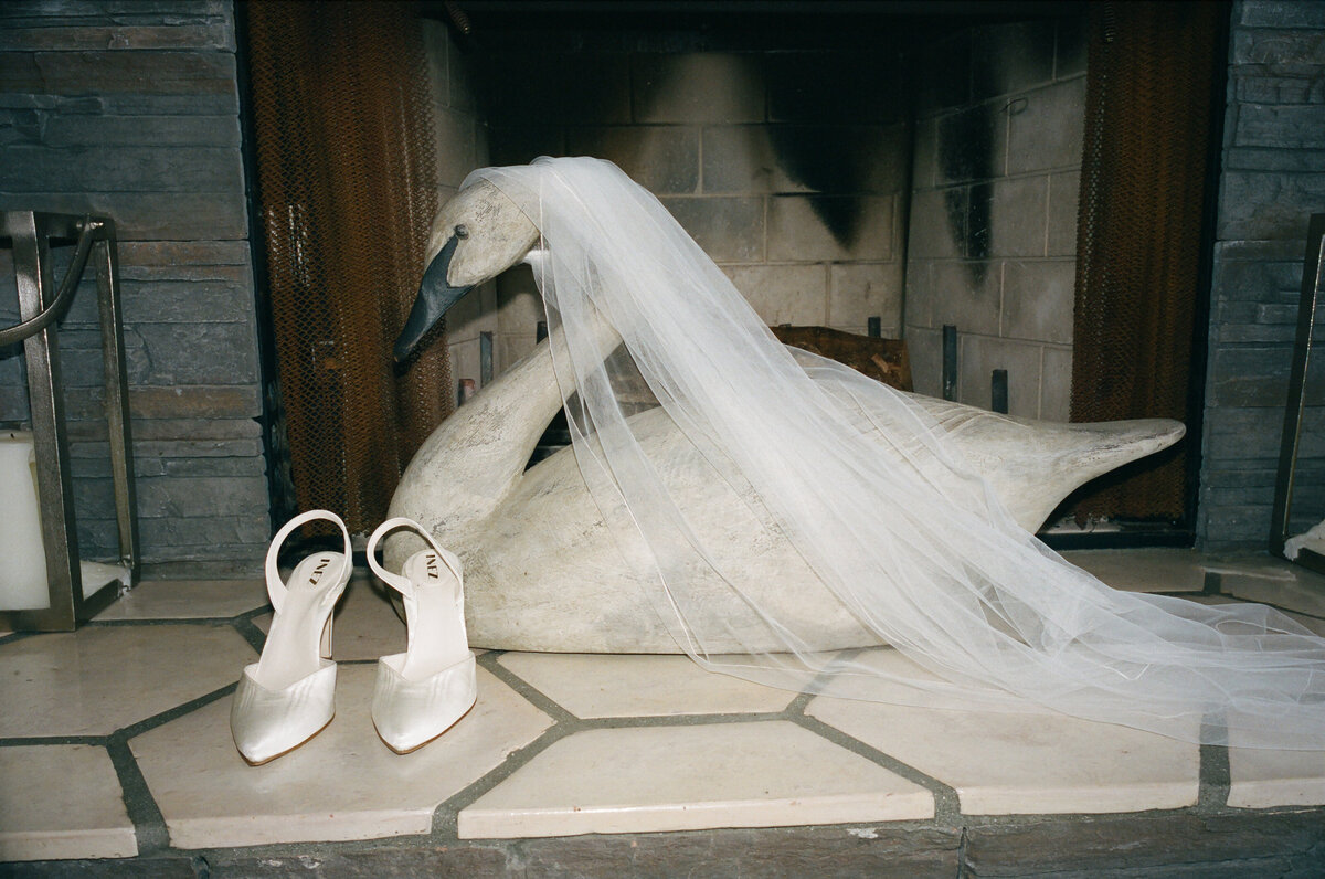 DT-2025-Celine & Gabe Highlights-7