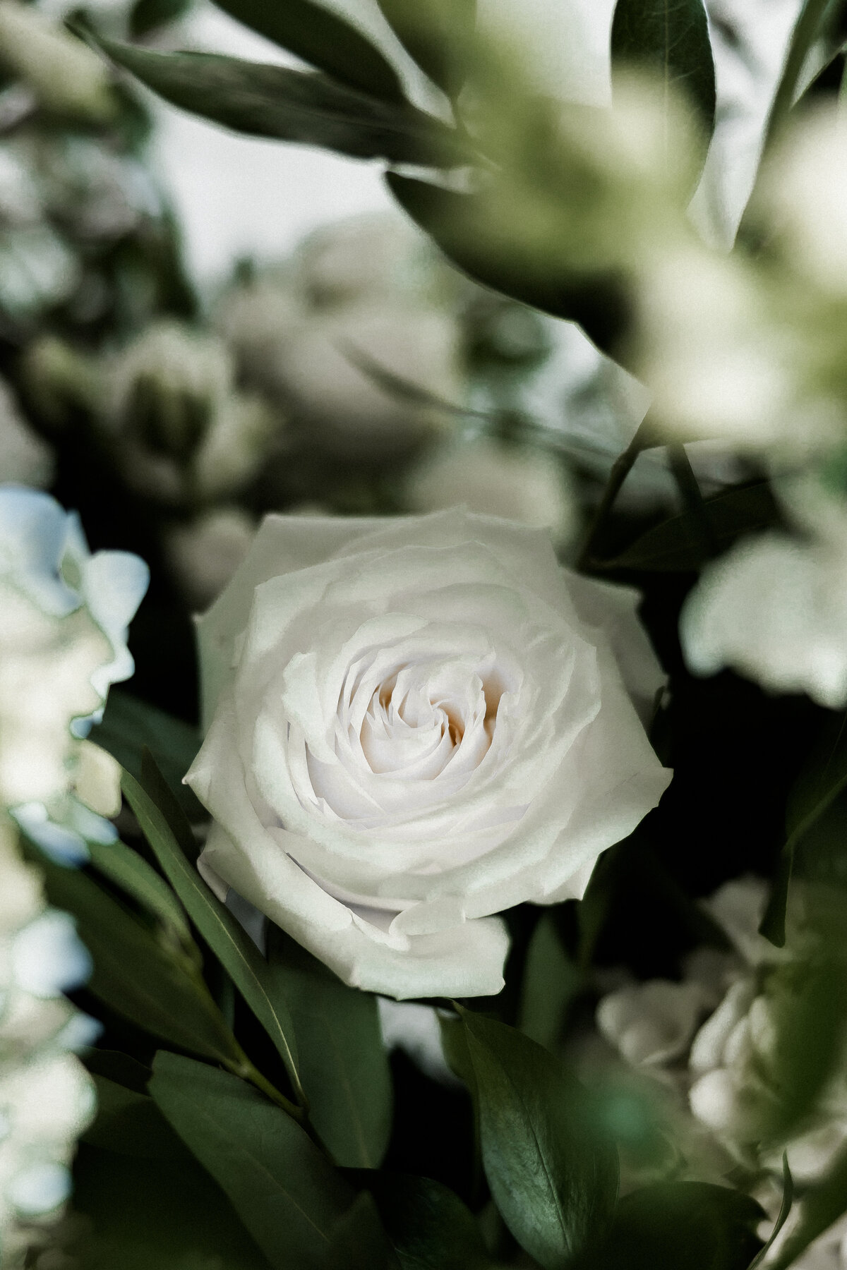 pittsburghweddingphotographer-479