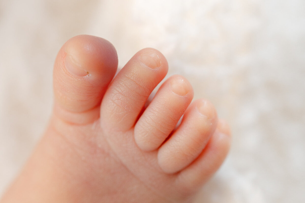 At-home-newborn-toes_0004