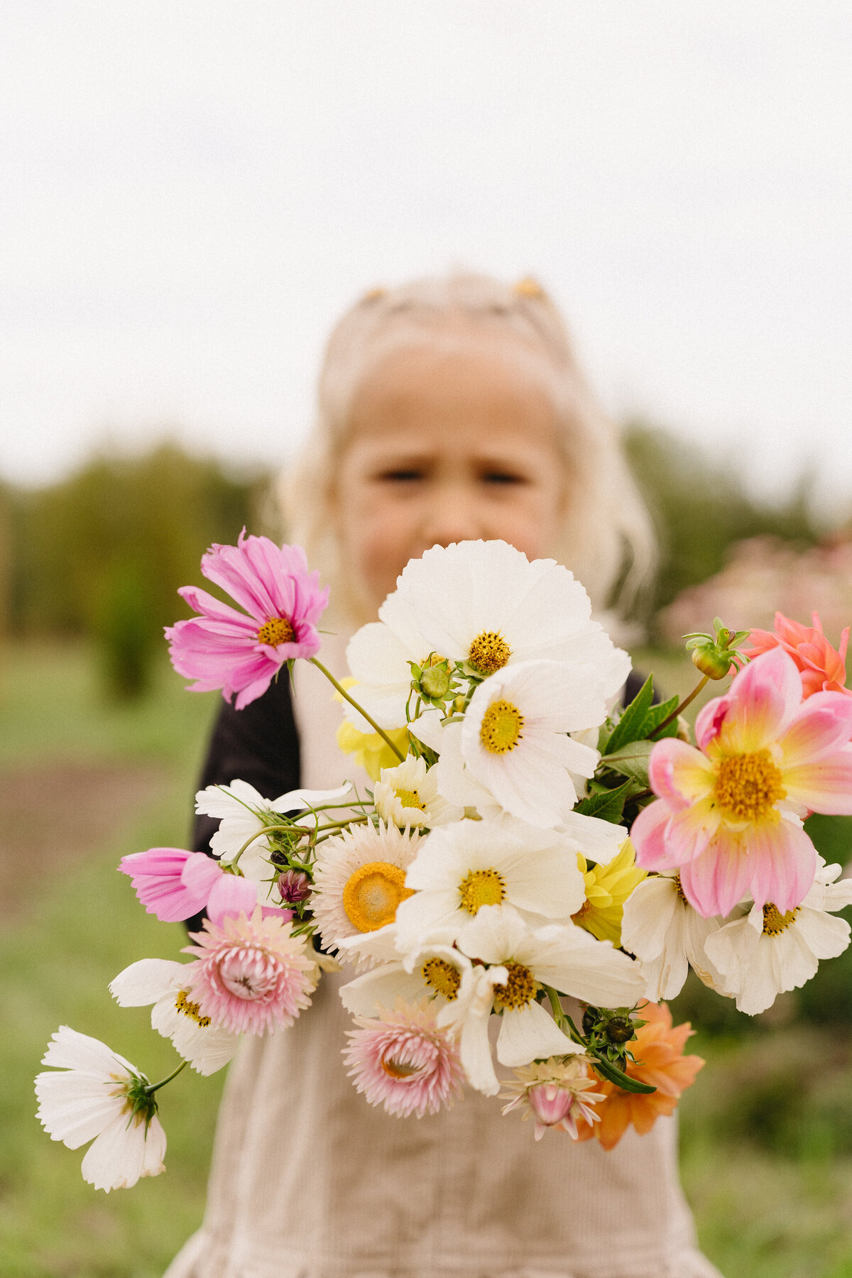 Weddingphotographer,weddingvideographer,BCWeddingPhotographer,BCWeddingVideographer,AlbertaWedding-02789