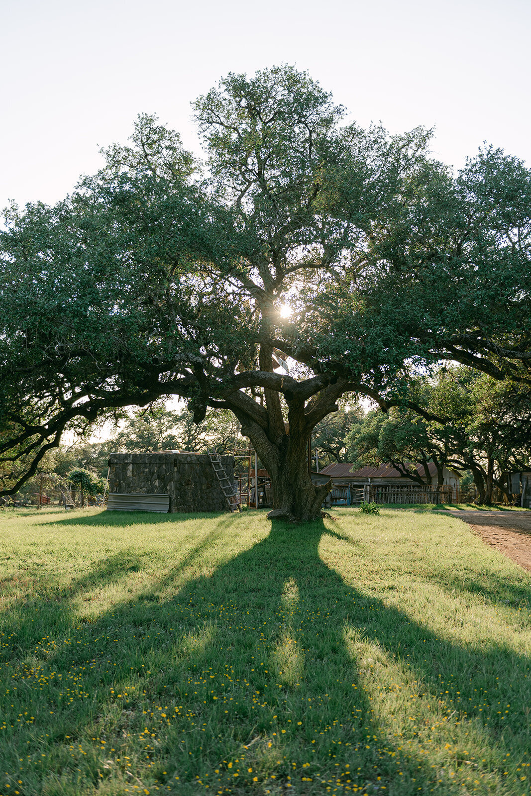 Luxury_Wedding_Photographer_Texas_Erin_Marcin_Photography_Film-51