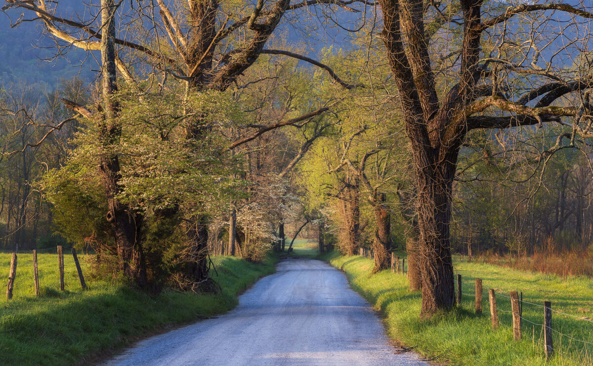 2022.04-Nature-TN-Smoky-Mountains-NP-Chrissy-Donadi-Landscape-Photography-Clear-Cades-Cove-Sparks-Lane