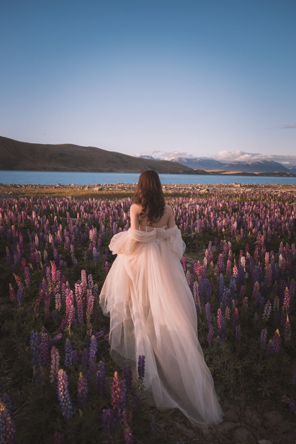 Pre-wedding photoshoot, the lupins, Lake Tekapo. Galia Lahav Haute Couture gown.