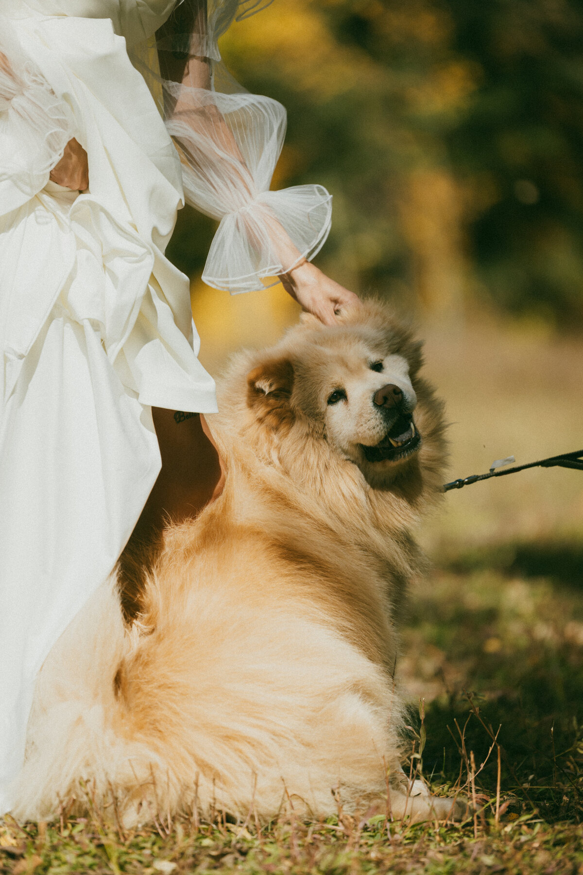 Durango-Wedding-Photographer (24)