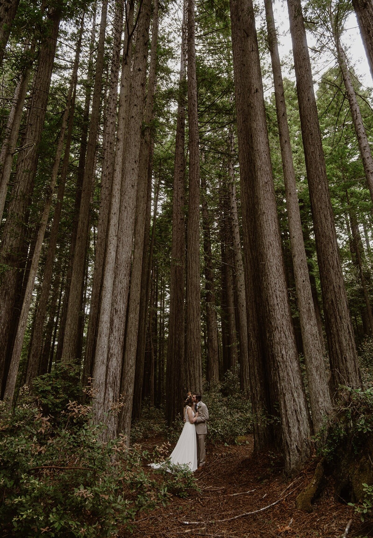 Mendocino Redwoods Elopement Meg Cooper Photo - 3