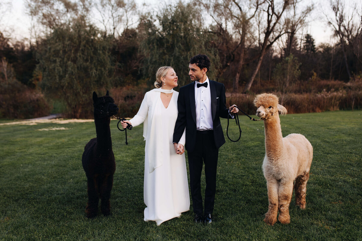 owls-hoot-barn-wedding-01