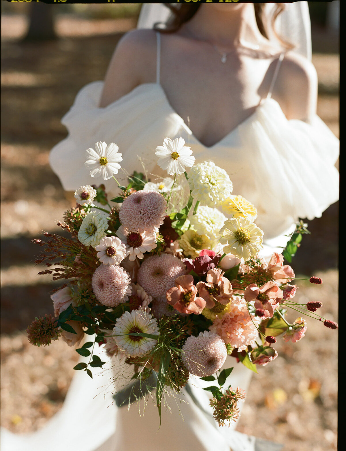21-alexa-matt-fall-wedding-delaware-bellevue-hall-2024