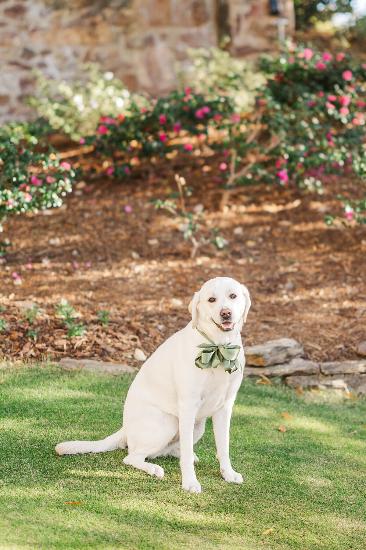 Lellyett-Wedding-SNEAKPEEK-38