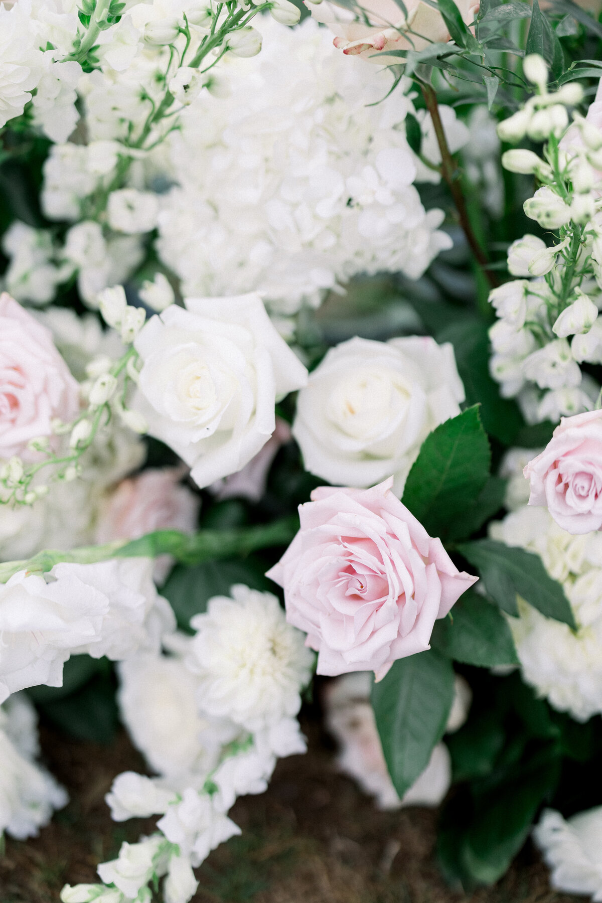 pink and white roses ceremony florals at Rosecliff in Newport Rhode Isalnd