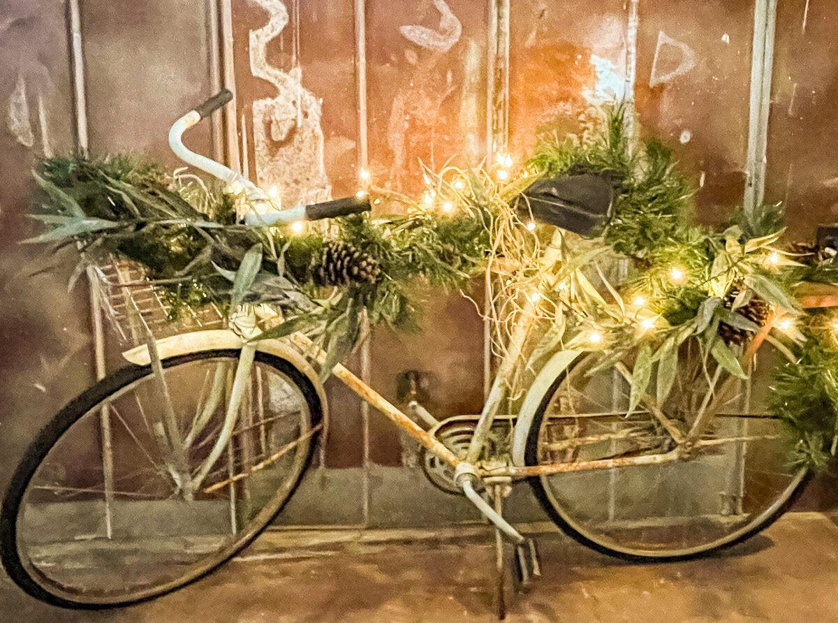 Mountain-Laurel-Farm-Christmas-Mini-Session-Photo-Venue236