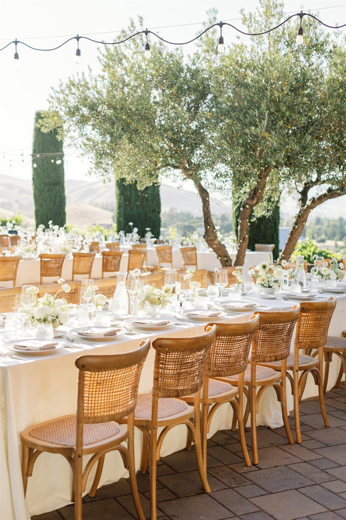 viansa-wedding-sonoma-emma-taylor-ashley-carlascio-photography-1001