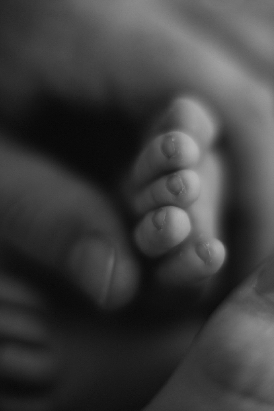 newborn_zaneta_mala160