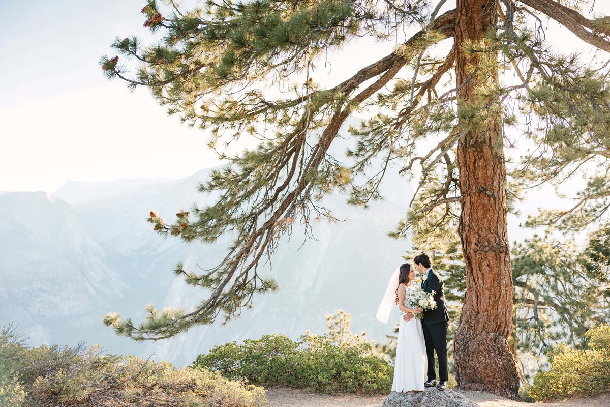 Yosemite-Photographer-22
