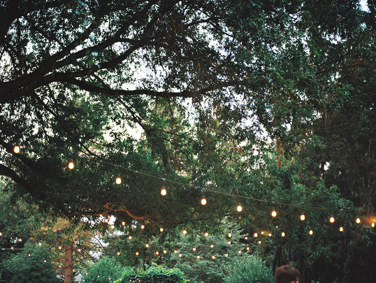 Bistro lights strung in trees at backyard wedding.