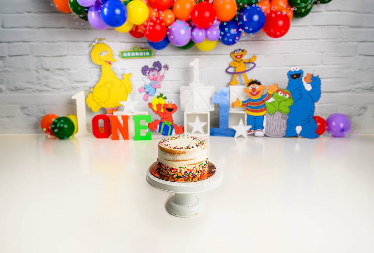 decorative themed cake smash for sesame street 