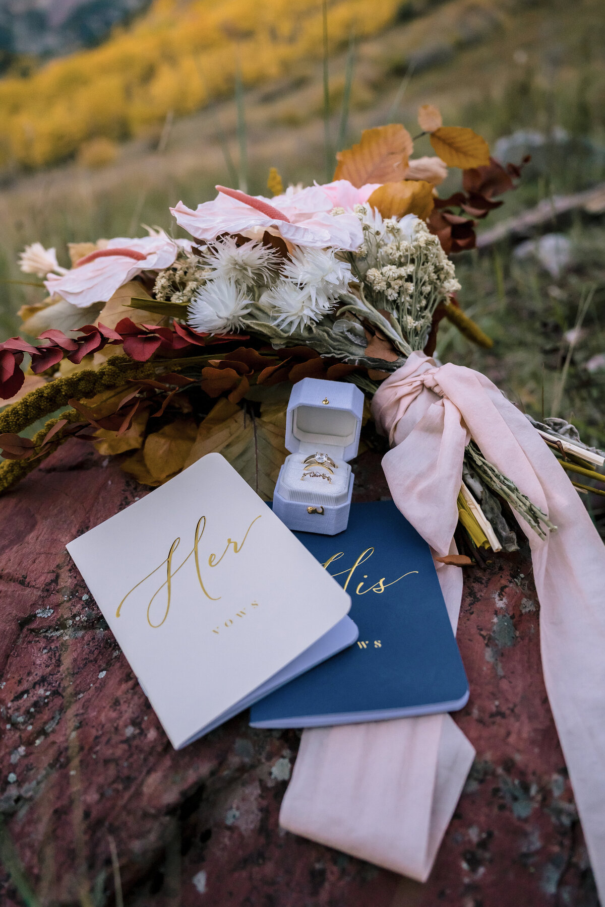 Alex Segall Photography (1 of 188)