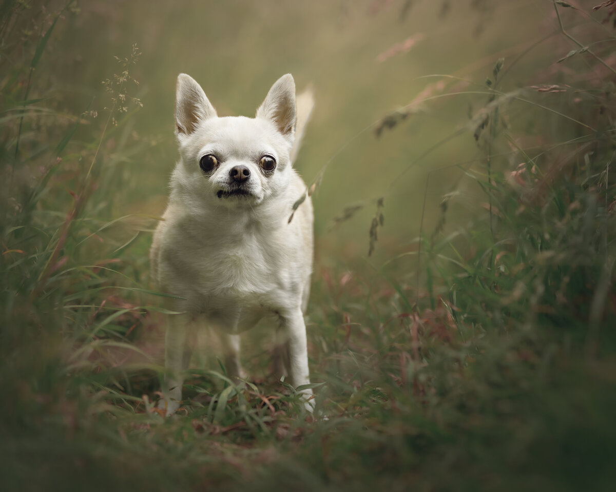 _J9A3055-Edit-Edit