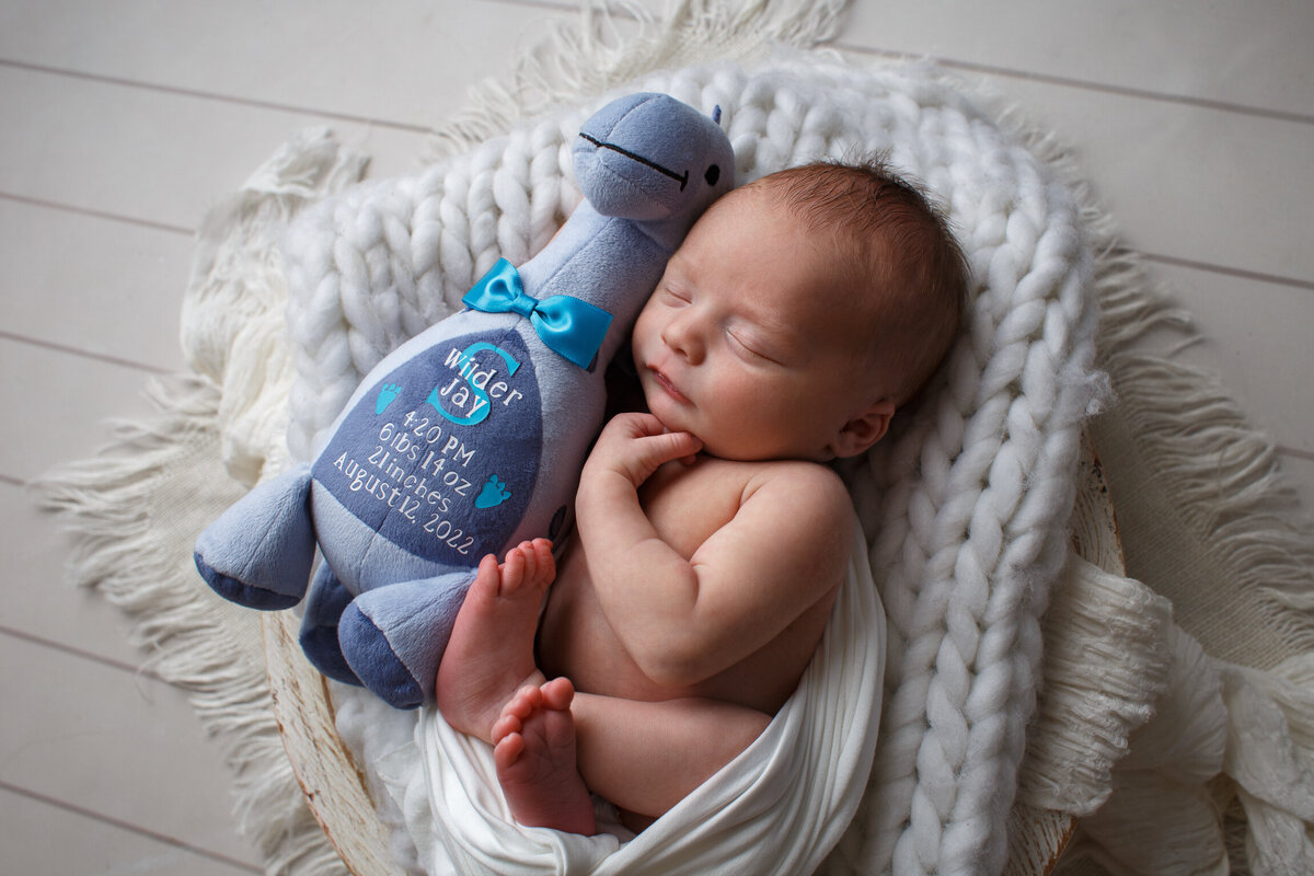 Image of an infant baby cuddled in a basket with a blue dinosaur toy photographed by newborn photographer at Life in Pink Photography