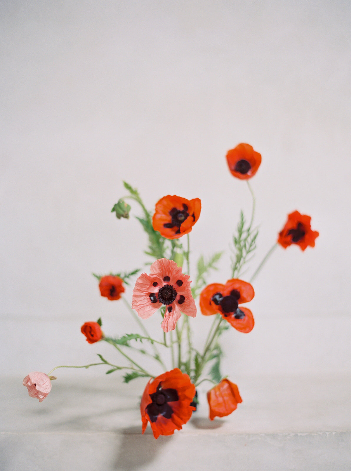 19759_13_websize (1)
