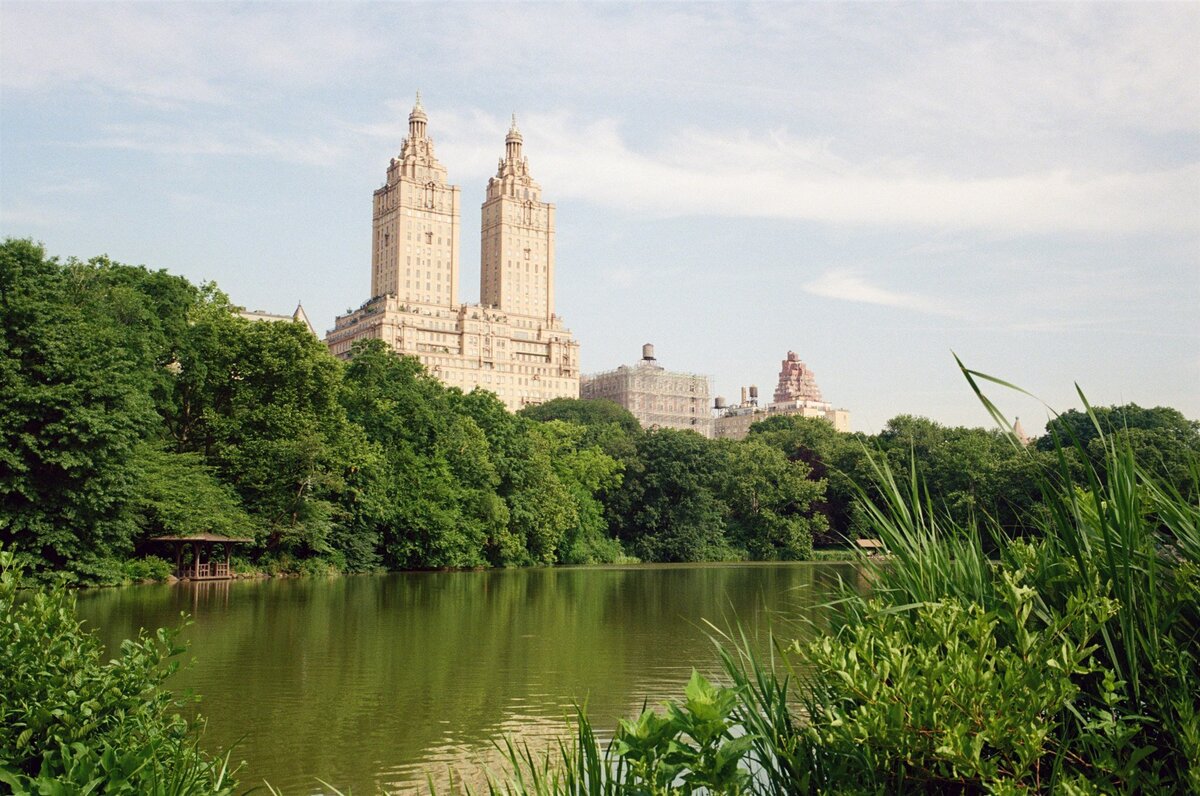 kodak_professional_portra_400_06_20_2024_000343940022