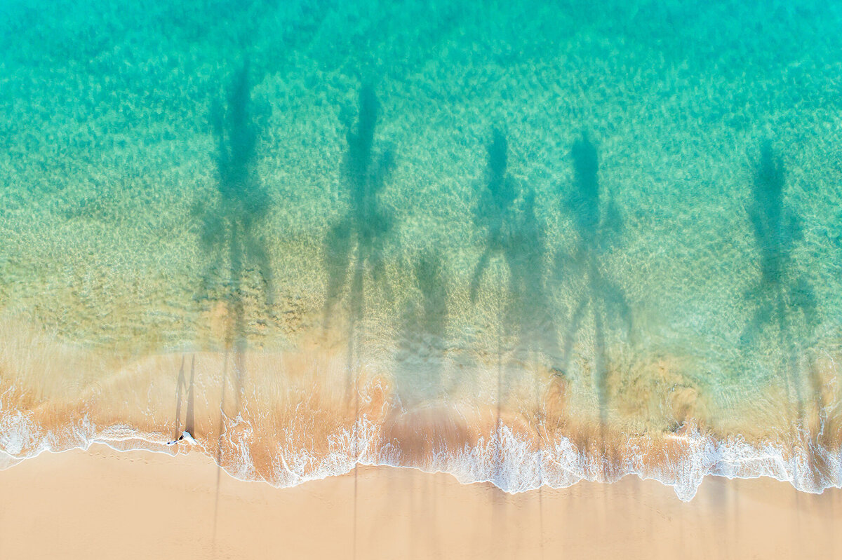 Drone couples portraits in Wailea featuring long palm tree shadows on Maui
