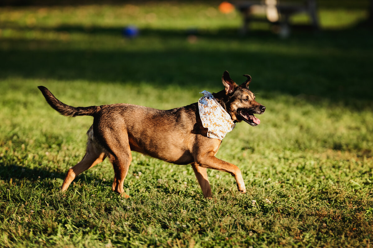 NicoleS_Fall2025_003