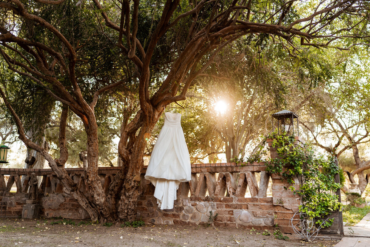 agua linda farms wedding photos tucson arizona (1)