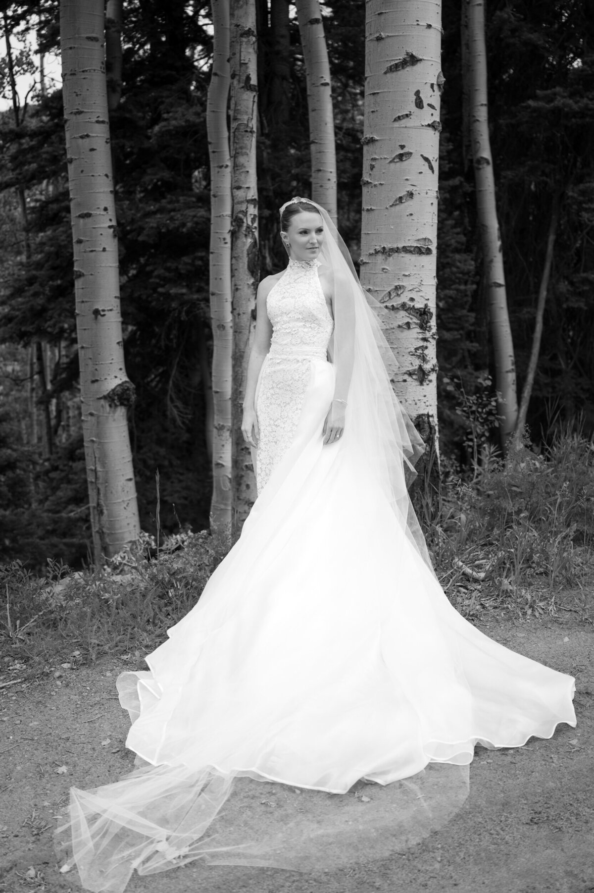 tellurdie wedding san sophia carter rose-0024