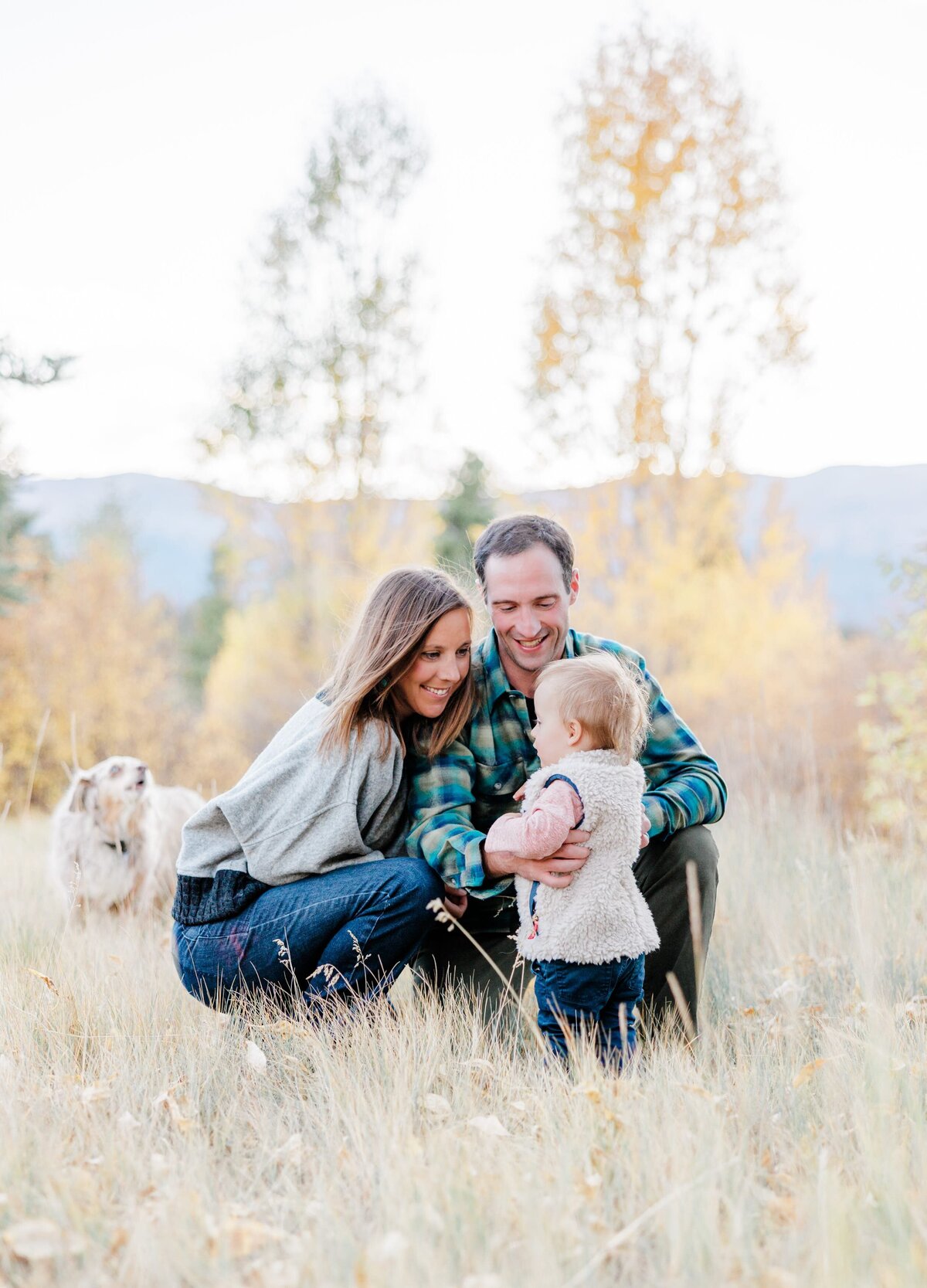 A mom and dad in jeans play with their happy baby in a meadow of tall golden grass with dog looking on behind them from a Breckenridge Family Photographer